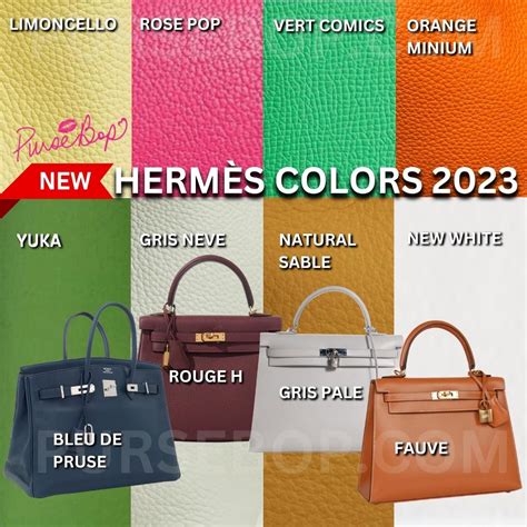 hermes colors 2024|hermes birkin color chart.